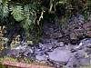 Stream04.JPG