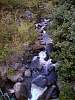 Stream03.JPG