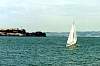 alcatrazandsailboat.jpg